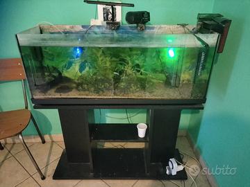 acquario completo