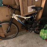 Mountain Bike bicicletta 26 ammortizzata TopBike