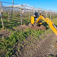 Miniescavatore KatoImer