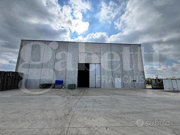 Capannone Industriale Pignataro Maggiore
