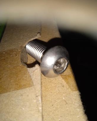 viti inox 