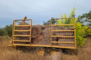 carrello agricolo