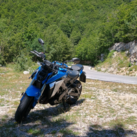 Suzuki gsx-s 950