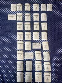 Figurine calciatori panini 2025/2025