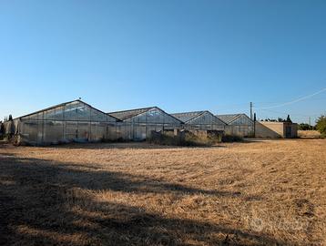 Terreno agricolo zona Sa Ruina