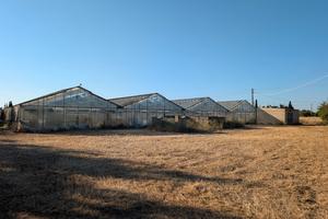 Terreno agricolo zona Sa Ruina