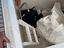 Immagine 14