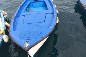 Barca in vetroresina