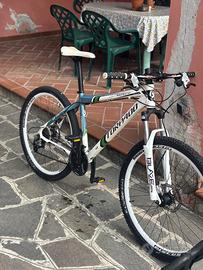 Mtb torpado light Race 27.5 in alluminio