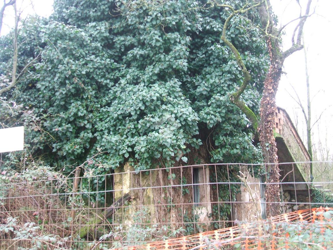 Casa – Villa Santa Lucia, Frosinone - Vista 5