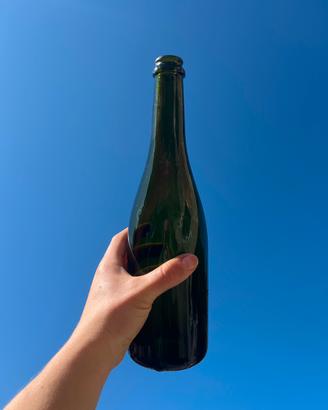 Bottiglie vino