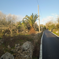 Terreno agricolo Tricase