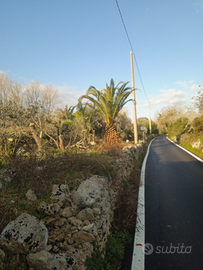 Terreno agricolo Tricase