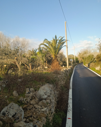 Terreno agricolo Tricase