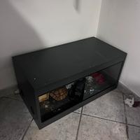 Teca per rettili