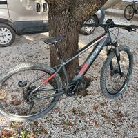 bici elettrica Olimpia