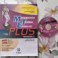 Libro Matematica Teoria Esercizi Plus Geometria A