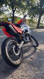 beta rr50