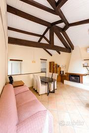 Ampio Bilocale con terrazza a livello