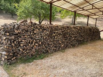 LEGNA DI ULIVO
