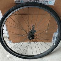Ruota bicicletta raggio 28