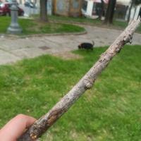 Lavoro a tempo indeterminato