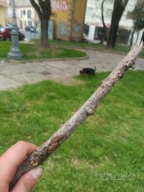 Lavoro a tempo indeterminato