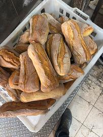 Panettiere