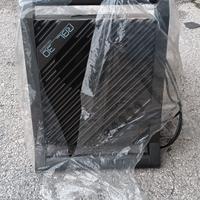 cassa amplificata più microfono