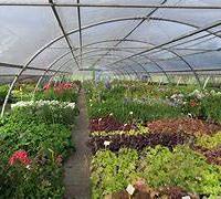 VIVAIO CASTEL NUOVO DON BOSCO