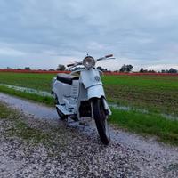 Guzzi Galletto 192 avviamento elettrico