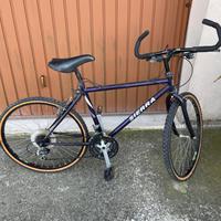 Mountain bike da bambino