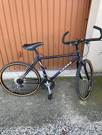 Mountain bike da bambino