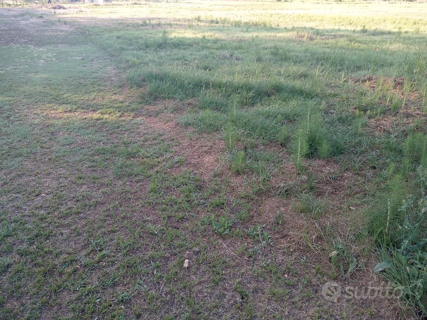 Terreno agricolo - Vista 3