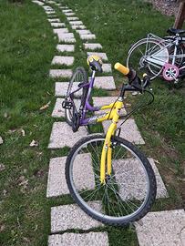 bicicletta mountabike ragazzo/a