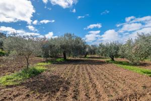Terreno - Caltagirone