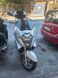 silverwing 600