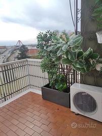 FEJKA Ikea Pianta artificiale vaso nero come nuove