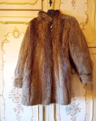 Pelliccia castorino spitz