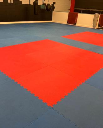 100 tatami 2cm
