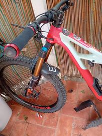 Specialized full Carbon