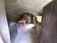 Immagine 19