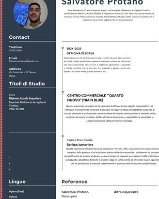 BARISTA (Macchinista bar)