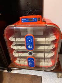 Incubatrice covatutto 162