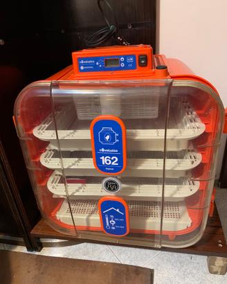 Incubatrice covatutto 162