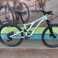 Specialized Stumpjumper tg L (s4)