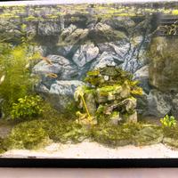 Acquario 100 l ferplast