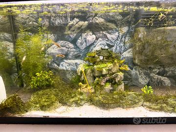Acquario 100 l ferplast