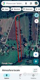 Terreno colle dei lepri