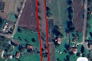 Terreno colle dei lepri